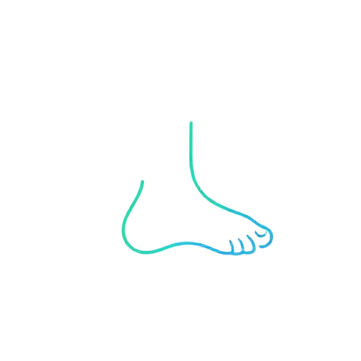 כף רגל